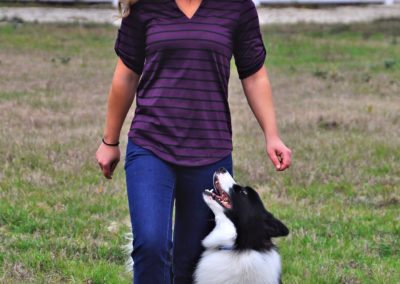 Dog Trainer in Spring Hill (1)