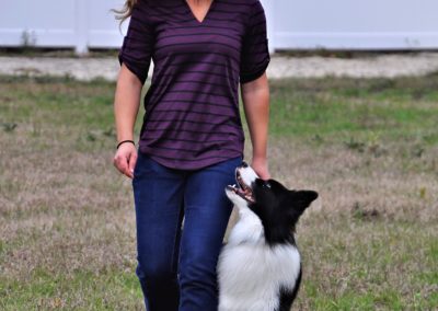 Dog Trainer in Spring Hill (16)