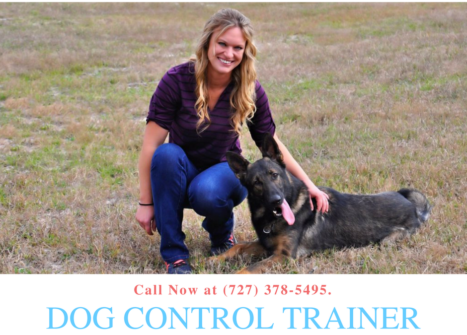 Dog Control Training Tips from Dog Behavior Specialist