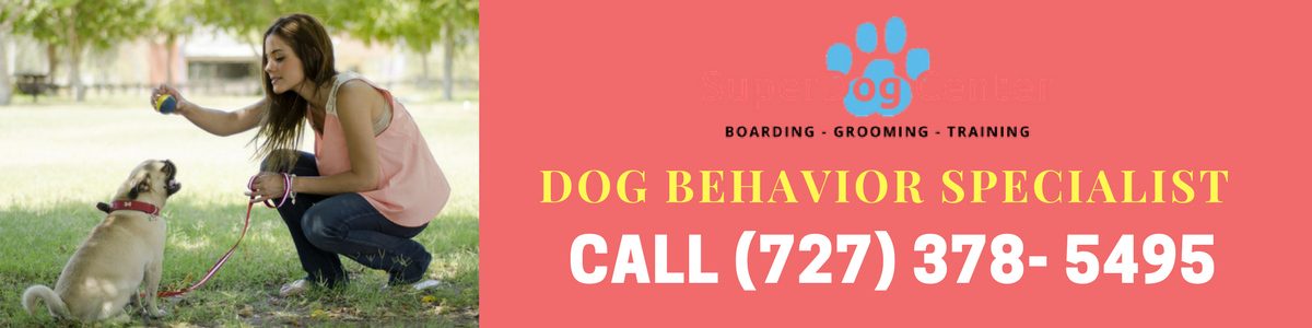 dog behavior specialist