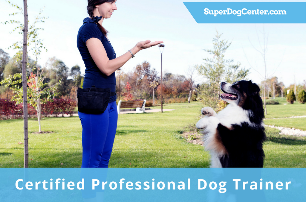 become a certified dog trainer
