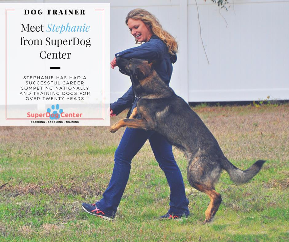 Dog Services Pasco County Florida