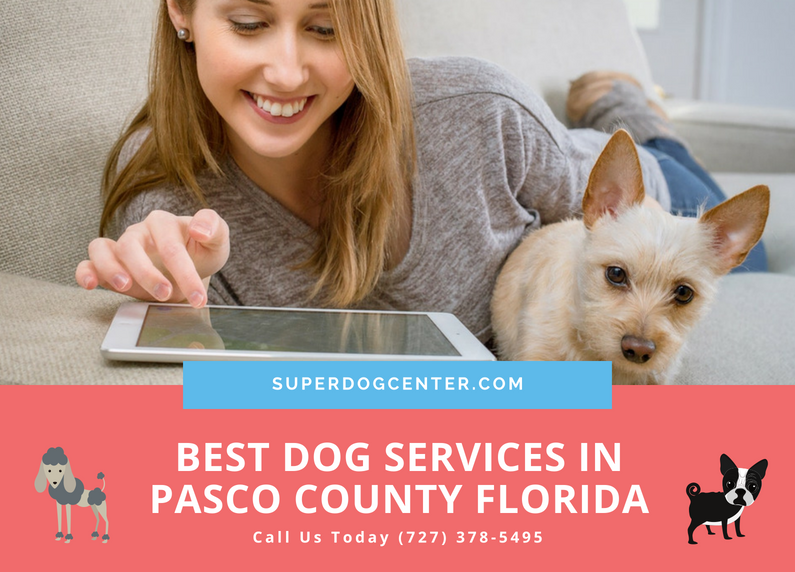 SuperDog Center Now Expanding Dog Services to Pasco County Florida