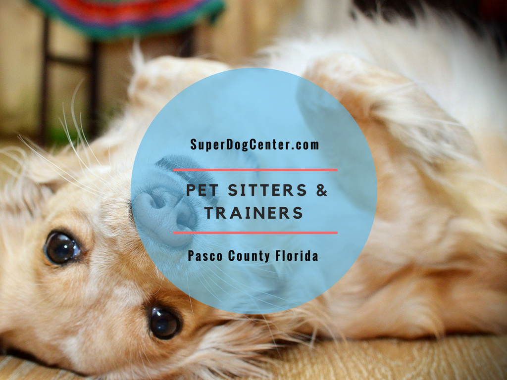 Dog Sitting in Pasco County Florida